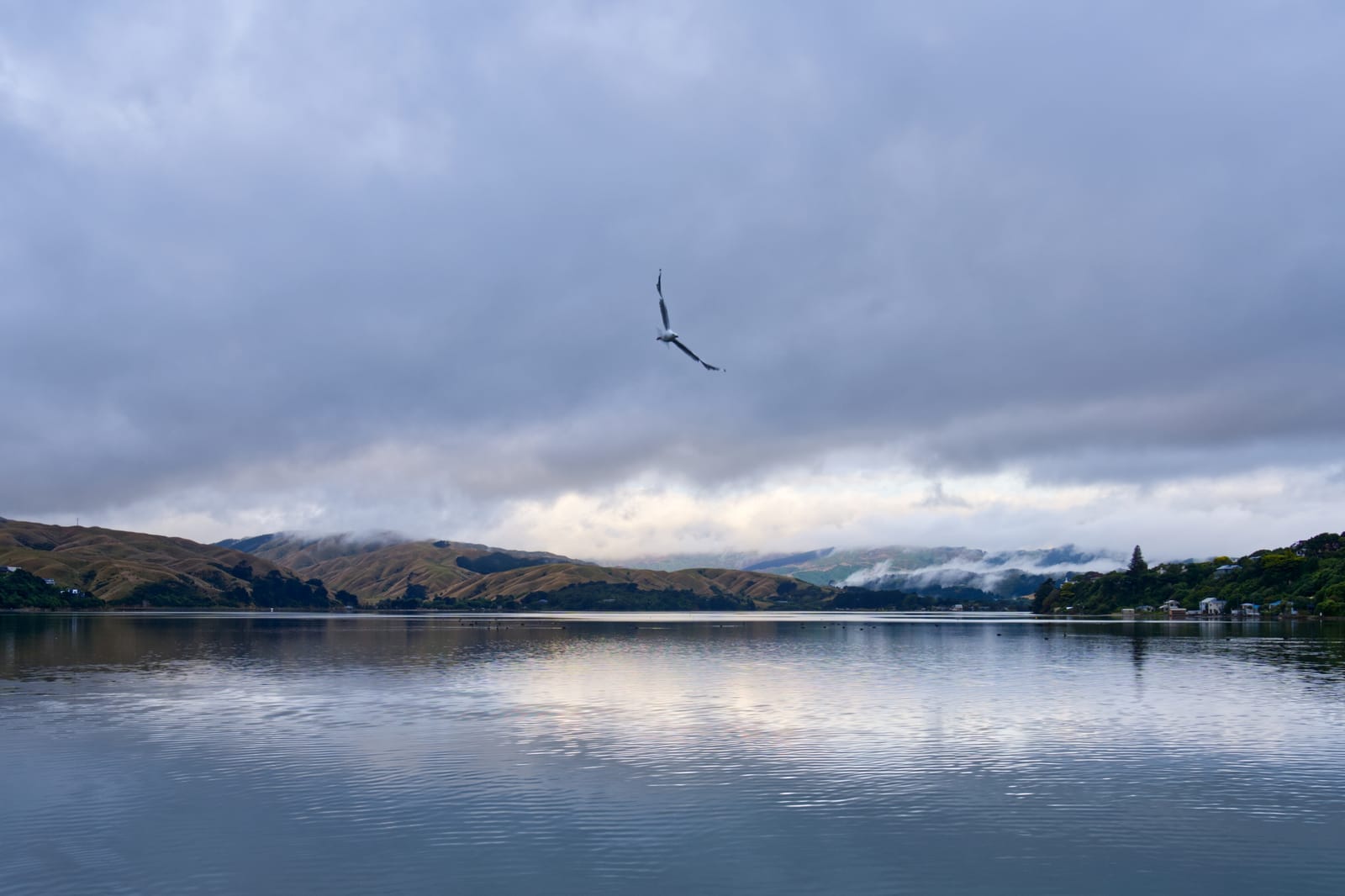 New Zealand Landscapes