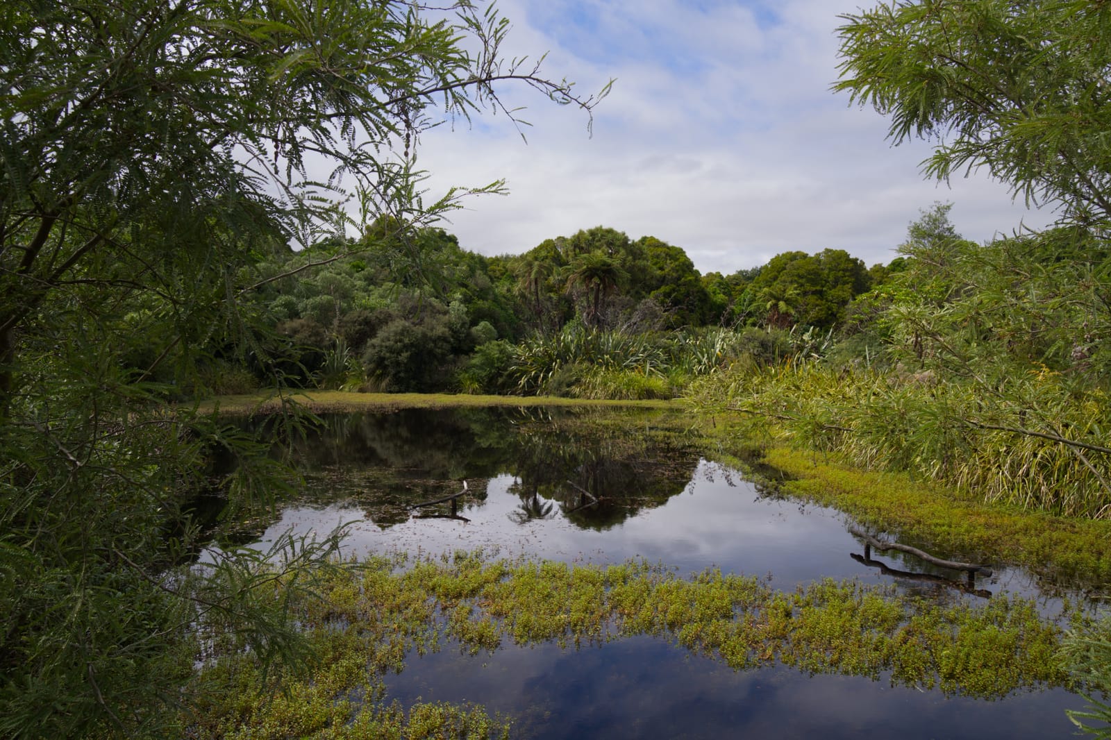 Nga Manu Nature Reserve, NZ