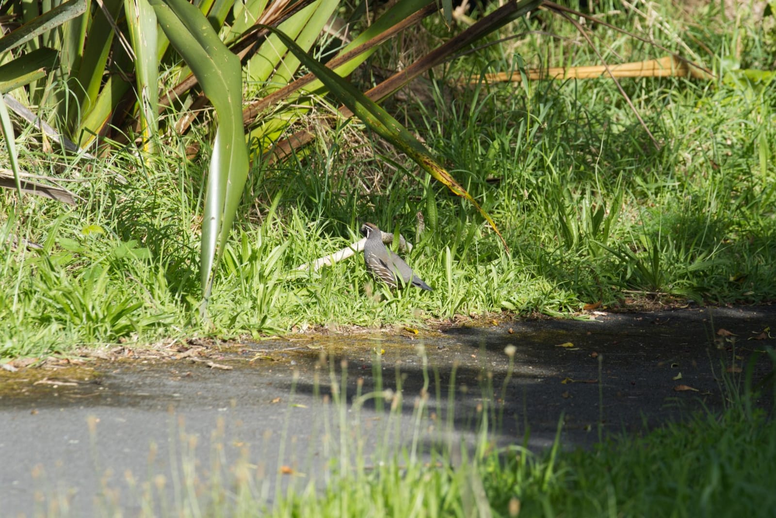 Queen Elizabeth Park - Kāpiti Coast